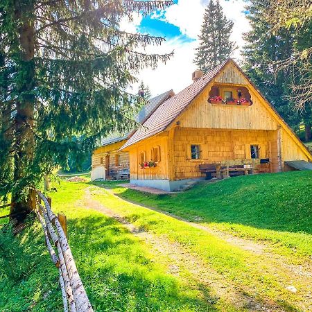 Chalet Ivi Villa Zgornje Gorje Luaran gambar