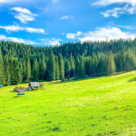 Chalet Ivi Villa Zgornje Gorje Luaran gambar