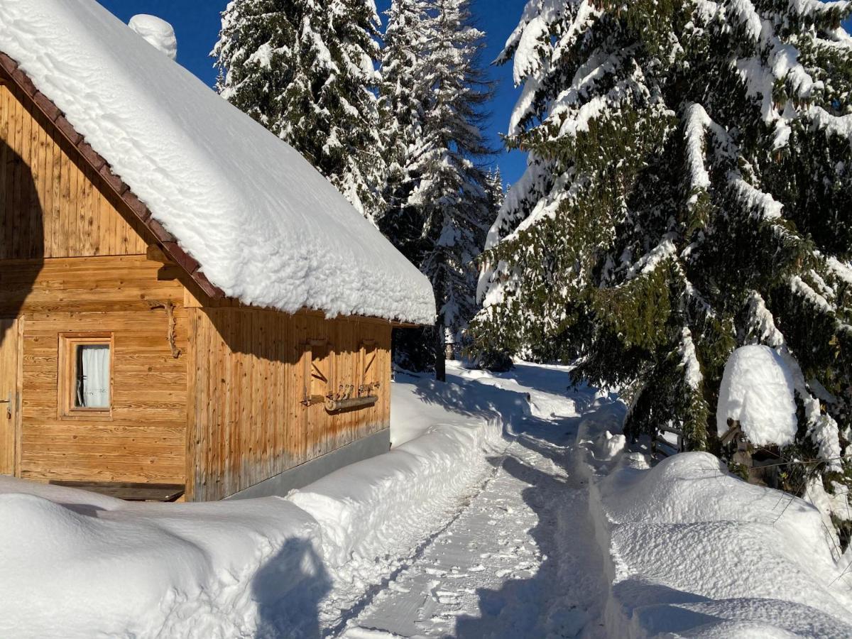 Chalet Ivi Villa Zgornje Gorje Luaran gambar