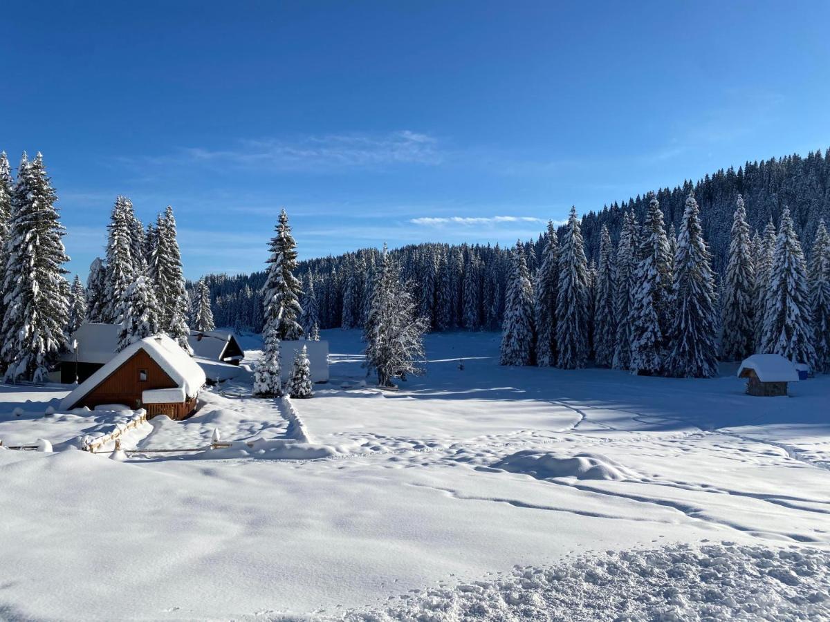 Chalet Ivi Villa Zgornje Gorje Luaran gambar