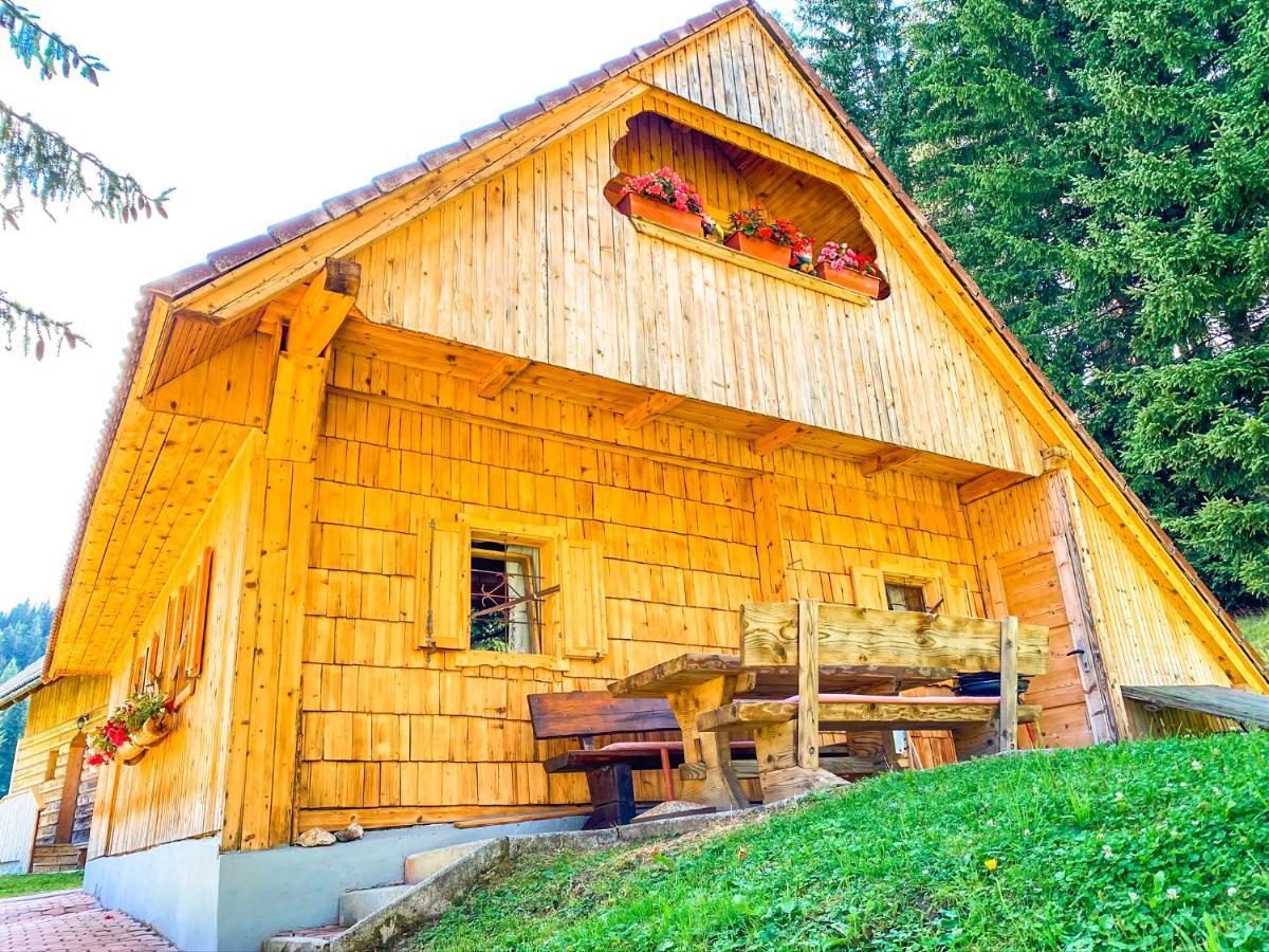 Chalet Ivi Villa Zgornje Gorje Luaran gambar