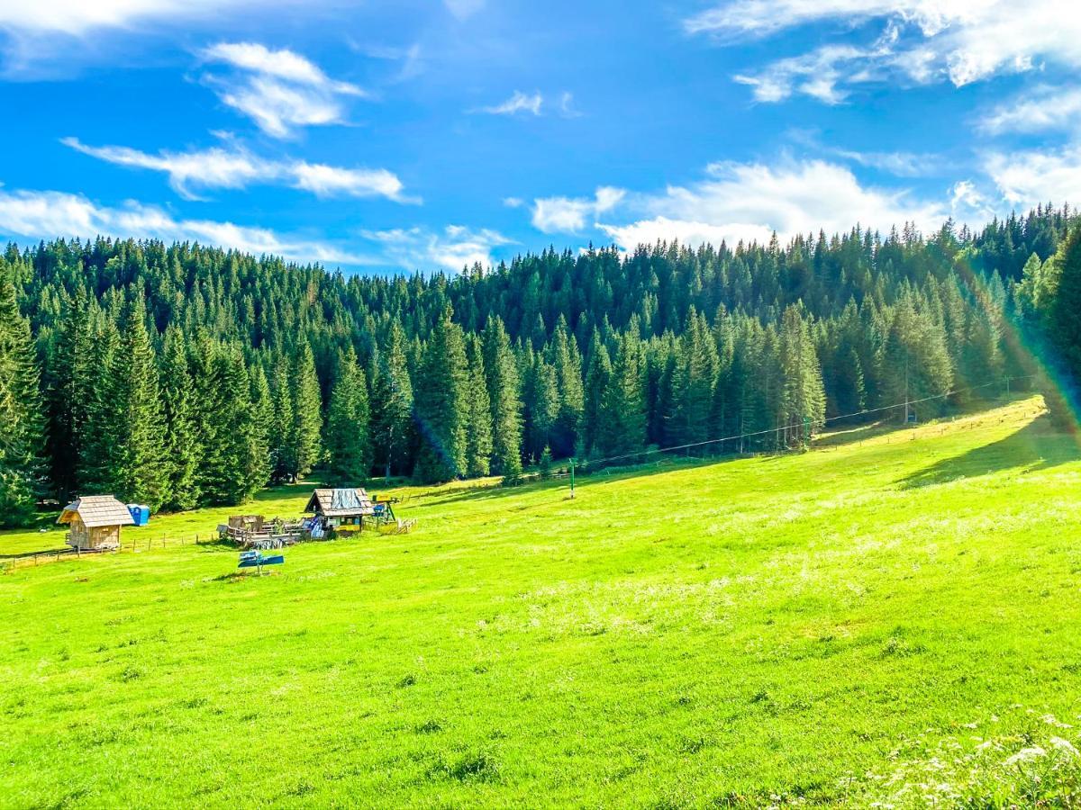 Chalet Ivi Villa Zgornje Gorje Luaran gambar